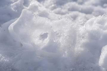 雪景