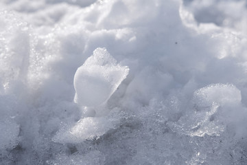 雪景