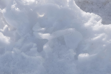 雪景