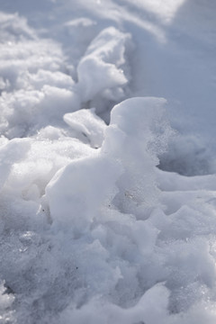 冬雪