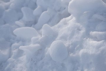 雪地