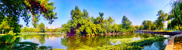 武汉紫阳湖公园风景