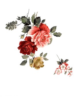 印花圖案