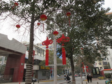 郑州街道春节装饰
