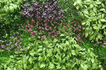 高清花卉绿植墙