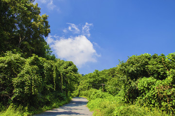 千山木鱼庵景区公路与树木山林