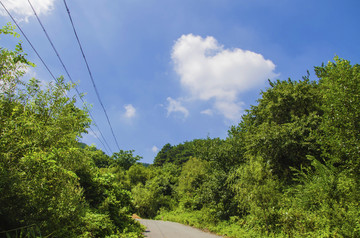 千山木鱼庵景区公路与树木山林