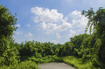 千山木鱼庵景区公路与树木山林