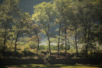 漓江山水