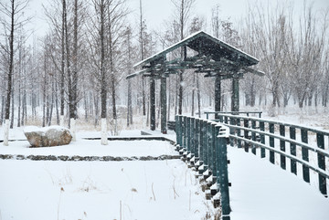 雪景