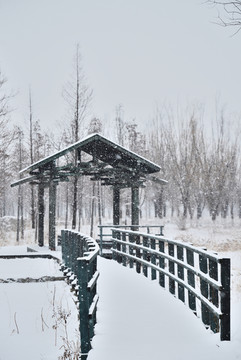 雪景