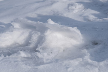 冬雪