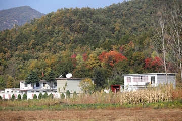 山村小学