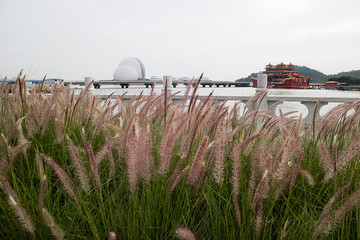 珠海城市风光