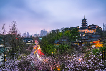 南京鸡鸣寺路樱花夜景