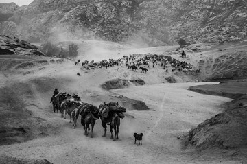 新疆阿勒泰哈萨克牧民转场路上