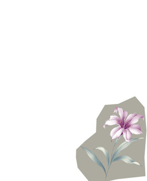 印花圖案