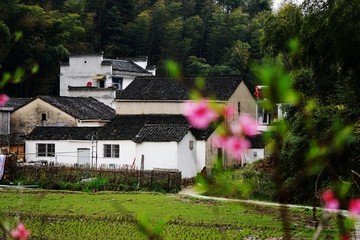 灵山村