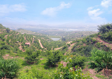 高山顶上