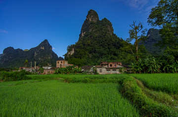 自然风景