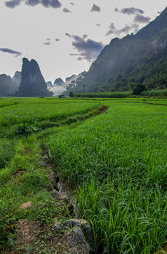 自然风景