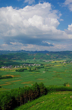 绿色乡村风景