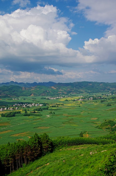 绿色乡村风景