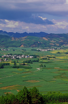 绿色乡村风景