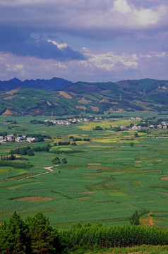 绿色乡村风景