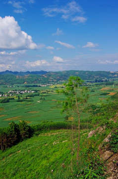 绿色乡村风景