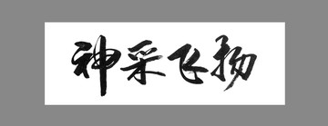 神采飛揚(yáng)