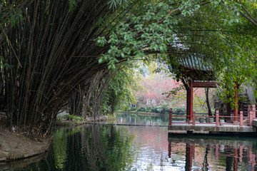 棠湖公园