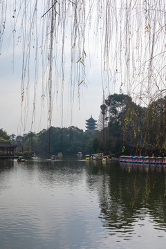 春日的棠湖公园