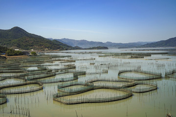 霞浦滩涂