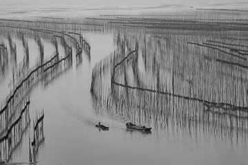 霞浦滩涂