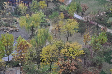 俯拍秋雨中的园林景色
