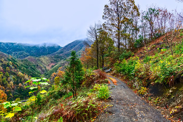 安徽旌德板书王家庄秋景