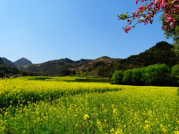 云南元阳梯田