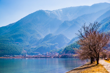 泸沽湖畔