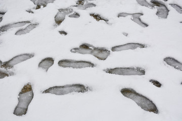 雪地脚印