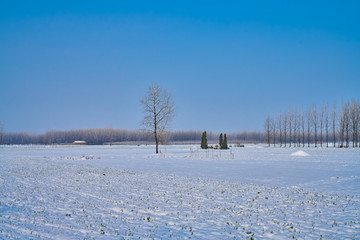 田园雪景