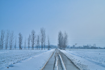 雪景公路