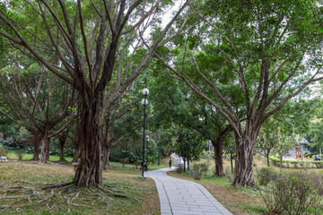 莲花山公园