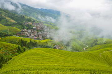 梯田风光