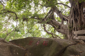 福州于山