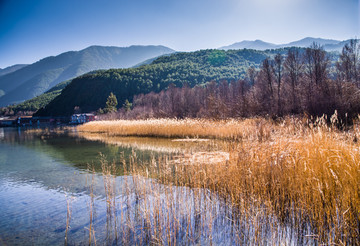 泸沽湖湿地