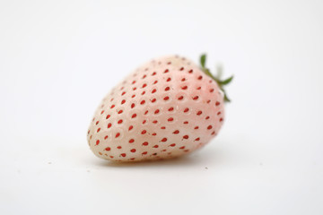 网红草莓