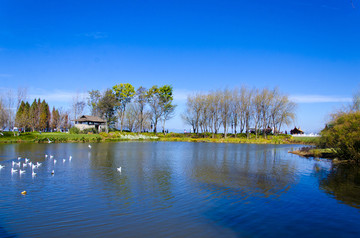 蓝天湿地