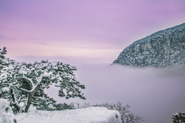 庐山锦绣谷雪景