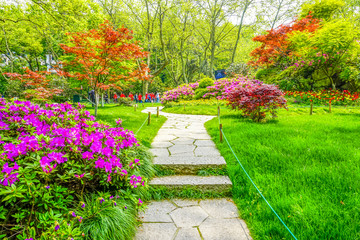 花园植物